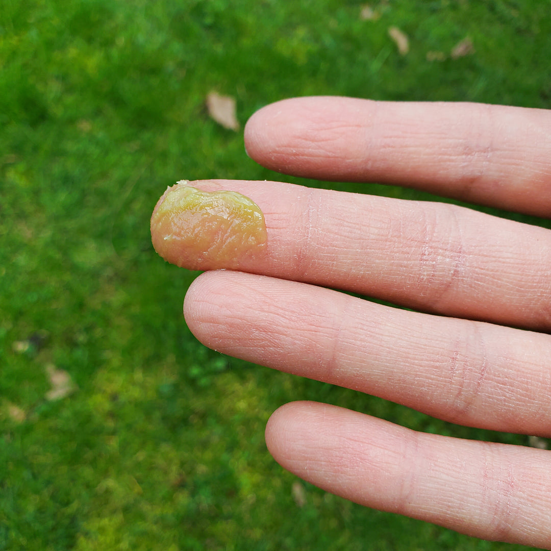 Green Goodness Nourishing Herbal Salve - Small